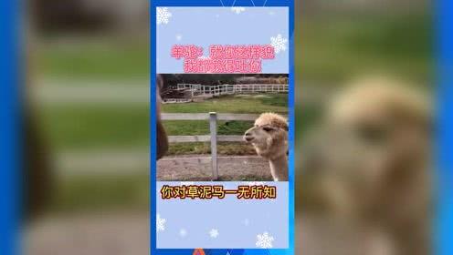 娱乐吃瓜的小花,娱乐圈幕后那些事儿